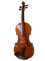 Violina 2 pednja